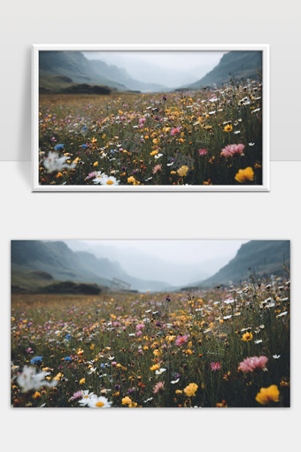 高山峡谷野花盛开自然风光美景