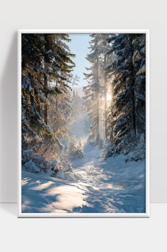 晨光照耀下冬日雪中森林小径景色