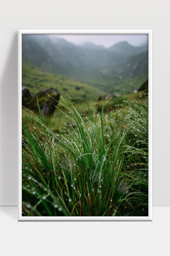 雨后山谷中草叶上的晶莹露珠特写