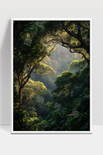 静谧森林晨光洒落树梢间的自然美景