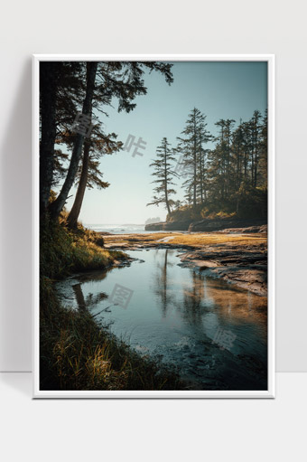 静谧森林溪流晨光照耀宁静自然风光画面