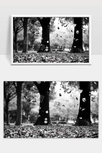 秋天公园落叶随风飘舞静谧自然风光