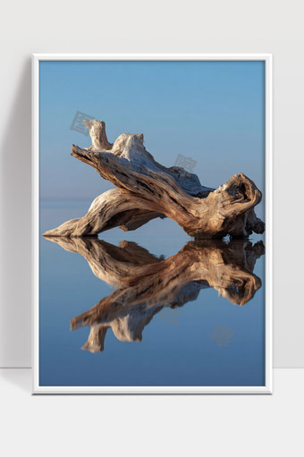 静谧水面上漂浮的枯木与倒影艺术