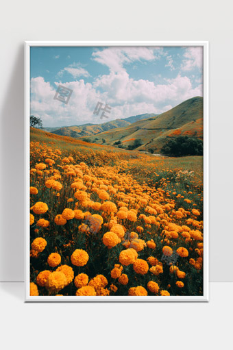 春天山间金色花海绽放美丽自然风光