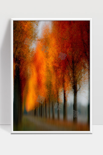 秋天林间落叶小径温暖色彩唯美意境风景