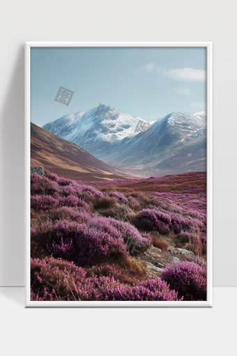 雪山下盛开紫色花海的宁静自然风光