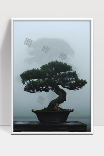 雾中盆景古树静谧意境自然美景