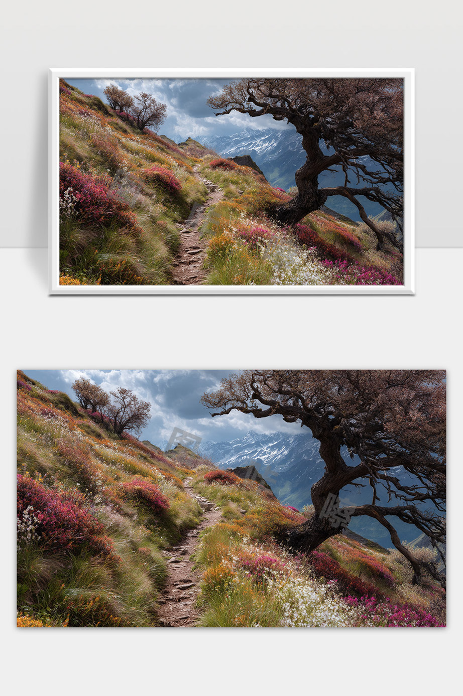 山间秋日小径绚丽多彩的花海与古树风光