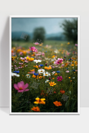 春天野花绽放的美丽田野自然风光