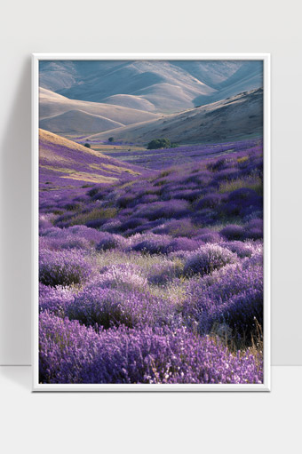 绵延山谷中的紫色薰衣草花海美景
