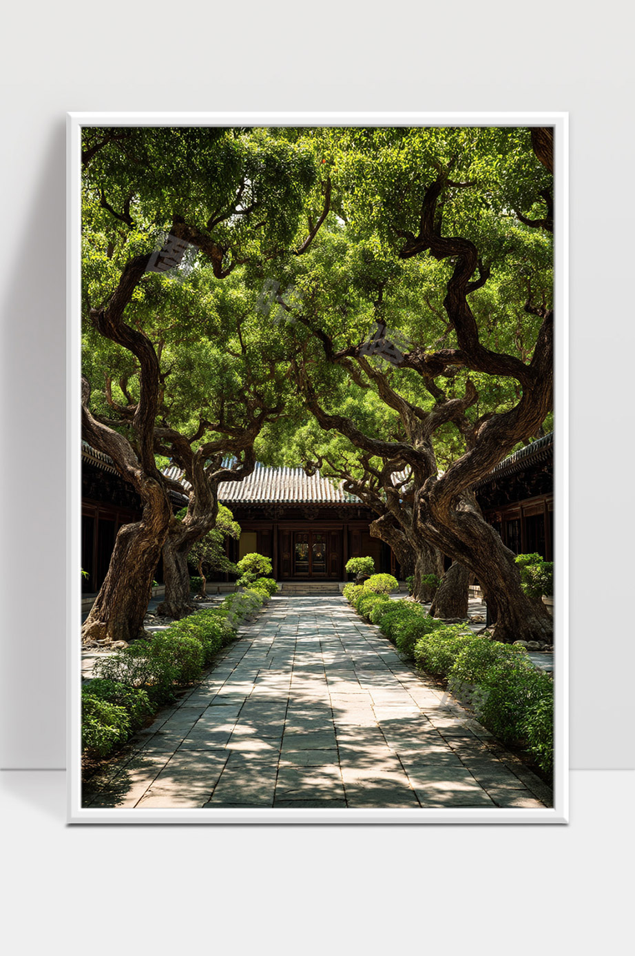 古建筑庭院中参天古树与幽静石径美景