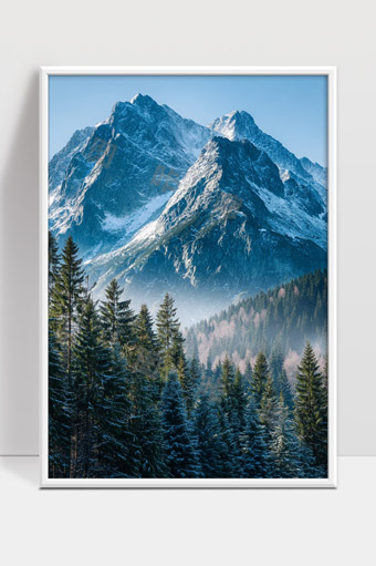 巍峨雪山下的苍翠松林晨光景色宁静