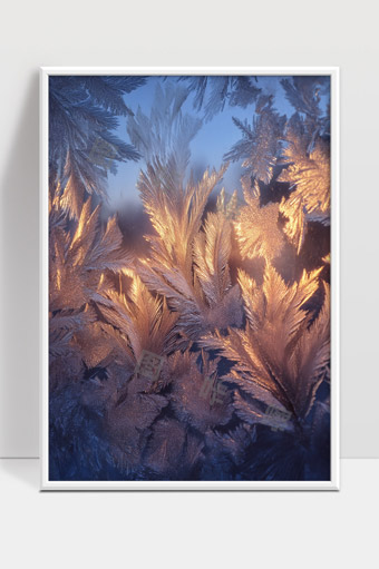 冬日初晨窗花冰晶自然美景唯美细节展示