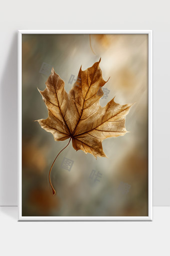 秋天枫叶静美意境唯美落叶特写