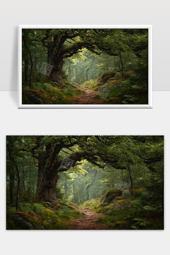 幽静神秘古树环绕的森林林间小径景色