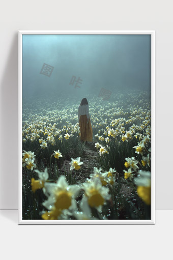 雾中水仙花海漫步唯美意境场景