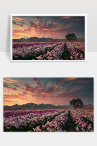 夕阳映照下的百合花海与远山景色