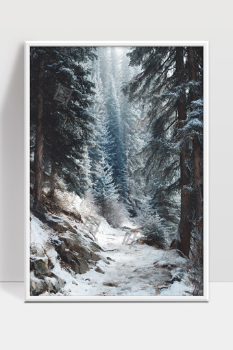 雪中森林小径冬日白雪覆盖宁静自然风光