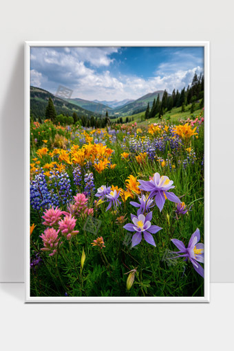 高山草甸绽放多彩野花远山风光