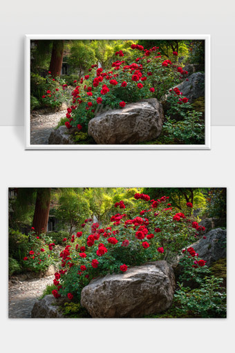 幽静花园中的红玫瑰与巨石自然美景