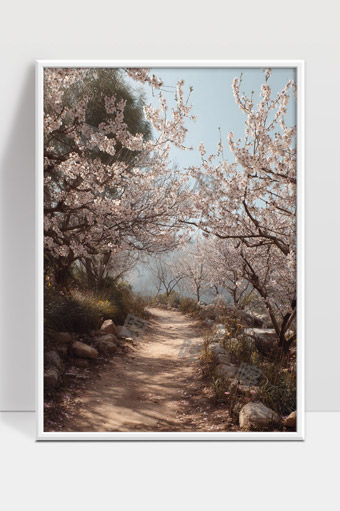 春日山间桃花盛开幽静小径美景