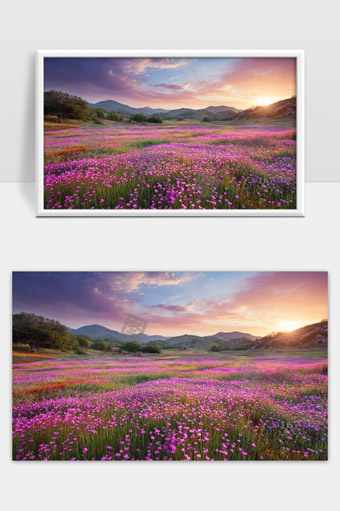 绚丽紫色花海映衬山丘日出美景