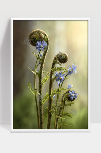 蕨类植物新芽与蓝色小花静谧绽放自然之美