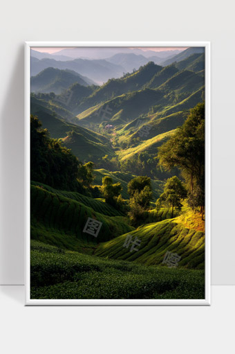 阳光洒落下的连绵茶园绿色山谷风光