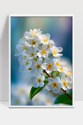 春天白色花朵绽放清新自然美丽景象