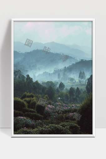 晨雾缭绕山谷绿林花海景色迷人宁静自然风光