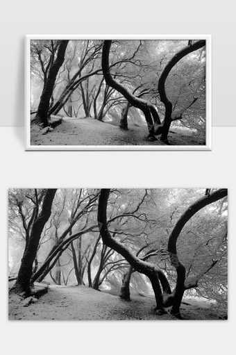 冬日雪景中的弯曲古树与寂静森林小径