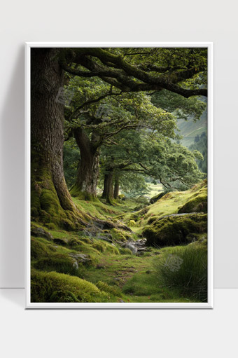 宁静森林中的古老参天树与青苔小径