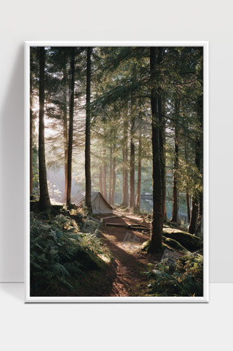 阳光穿透林间小径帐篷露营清新宁静森林风光