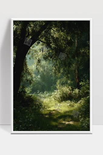 宁静森林清晨阳光洒满幽静小径