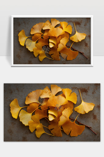 秋天银杏叶枯黄飘落自然静物美景