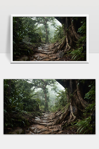 郁郁葱葱的热带雨林古树根系和石板小径风景