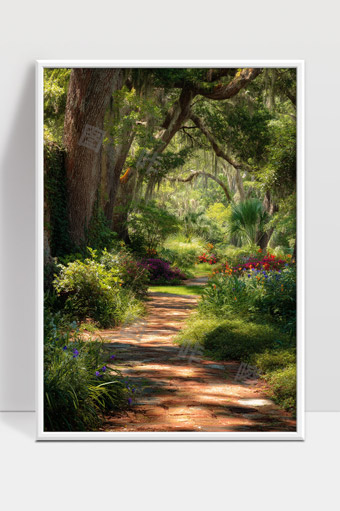 宁静花园小径绿树繁花阳光洒落自然风光