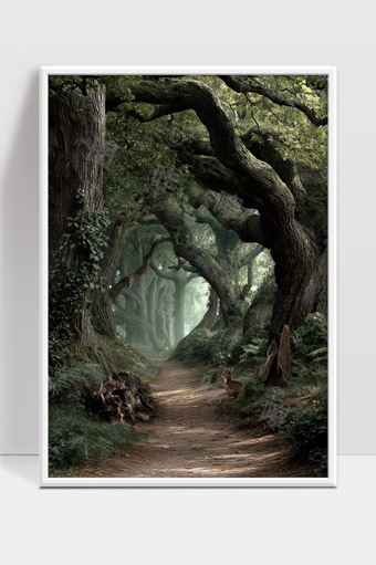 幽深古树林荫小径宁静自然野生动物守护