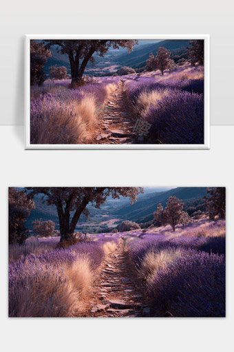 薰衣草花田中的山间石径宁静美景