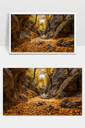 秋季峡谷满地落叶自然风光美景