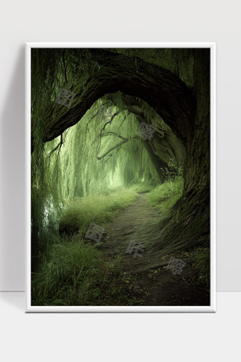 幽静绿荫下古树形成秘境森林小径