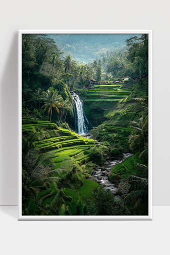 热带雨林中绿意盎然的梯田与瀑布美景
