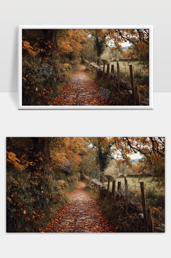 秋日森林小径落叶满地宁静乡村风光