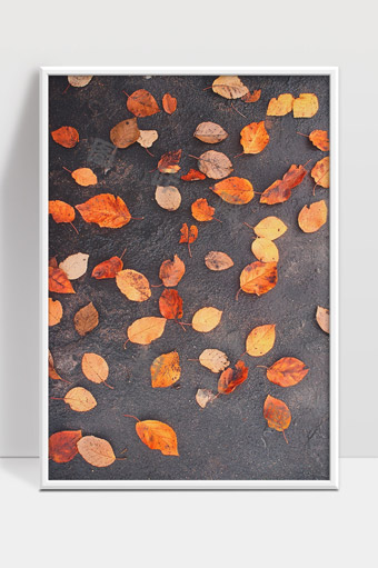 秋天落叶铺满地面自然季节变换美丽景色