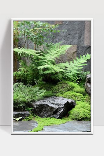 自然庭院中的绿色蕨类植物与苔藓景观