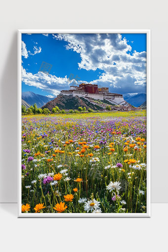 布达拉宫前五彩花海藏地高原自然风光