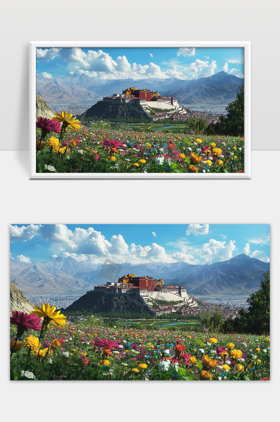 布达拉宫藏区春天的花海与雪山美景