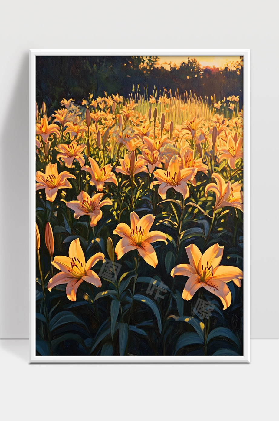 夕阳下绽放的金色百合花海美丽景象