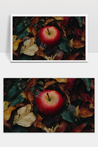 秋天落叶中红苹果的自然静物美景