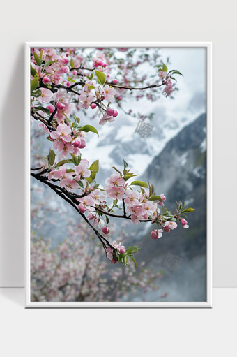 春天雪山前盛开的粉色桃花枝头美景